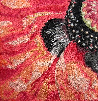 Zoe - Portrait of a Poppy 3
